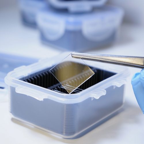 Substrate Storage Box